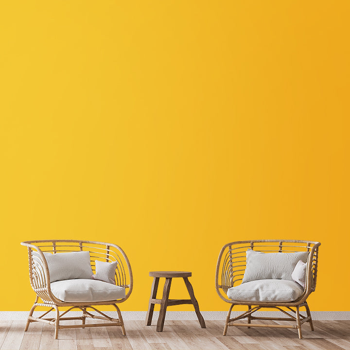 Plastic Emulsion – Brighto Paints Pakistan's 1st Multinational